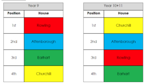 House Netball Festival